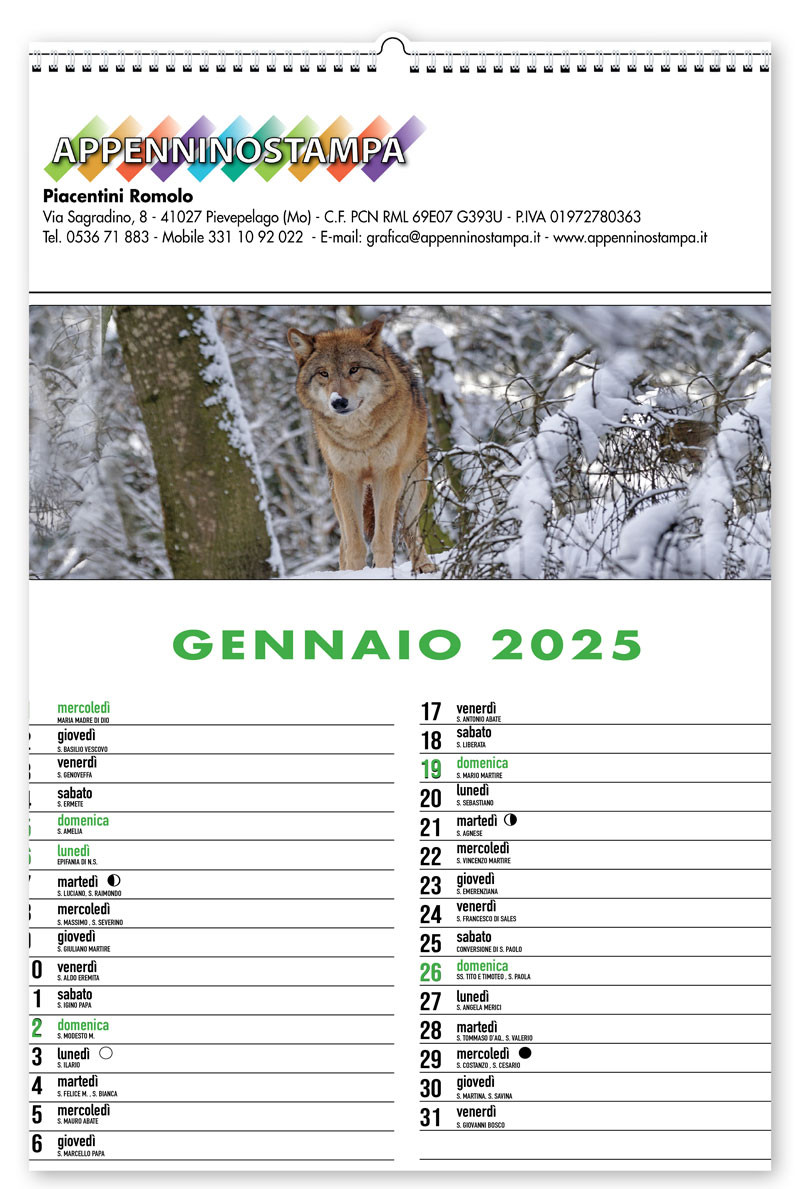 Calendario illustrato Animali della Foresta