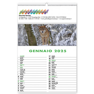 Calendario illustrato Animali della Foresta